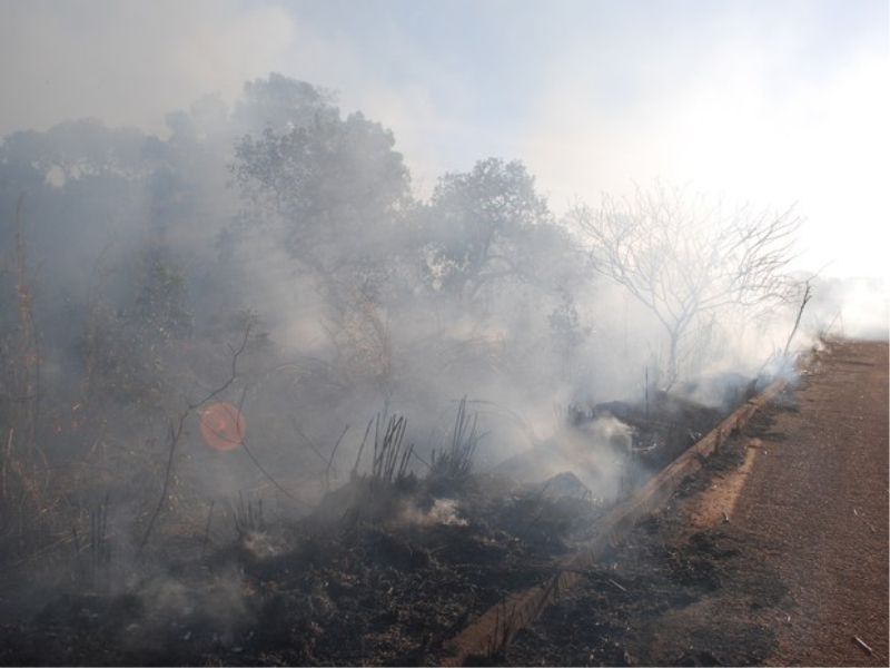 (Foto: Marcel de Paula/TV Anhanguera TO)
