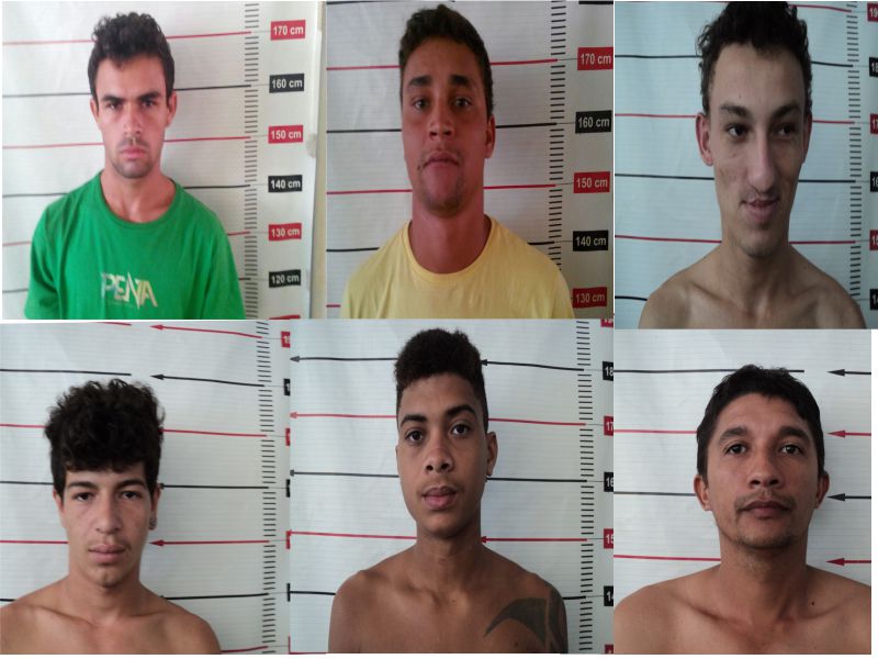 (Foto: Divulgação/SSP-TO)